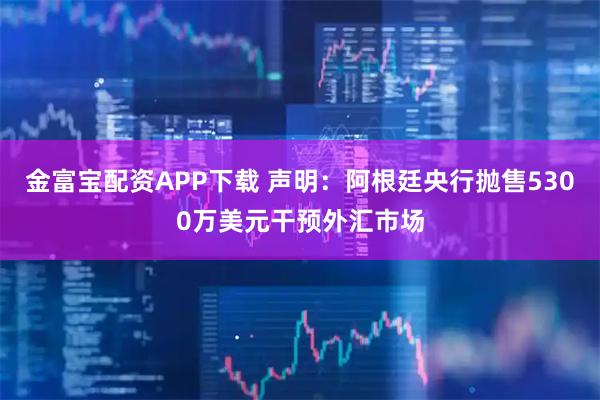 金富宝配资APP下载 声明：阿根廷央行抛售5300万美元干预外汇市场