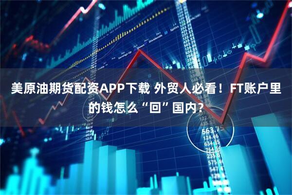 美原油期货配资APP下载 外贸人必看！FT账户里的钱怎么“回”国内？