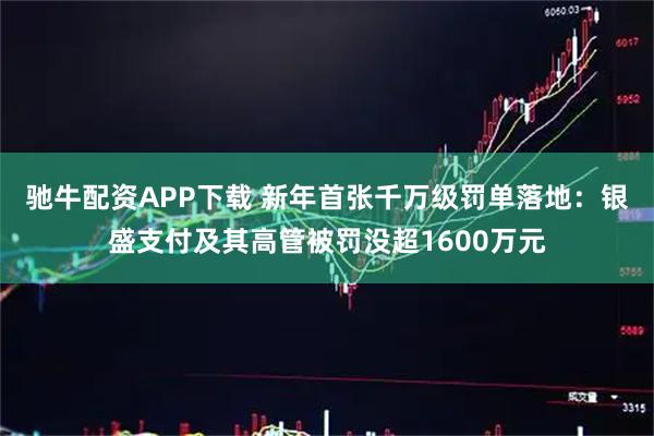 驰牛配资APP下载 新年首张千万级罚单落地：银盛支付及其高管被罚没超1600万元