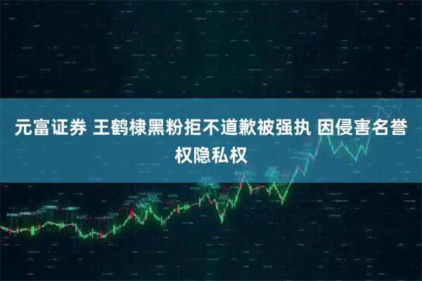 元富证券 王鹤棣黑粉拒不道歉被强执 因侵害名誉权隐私权